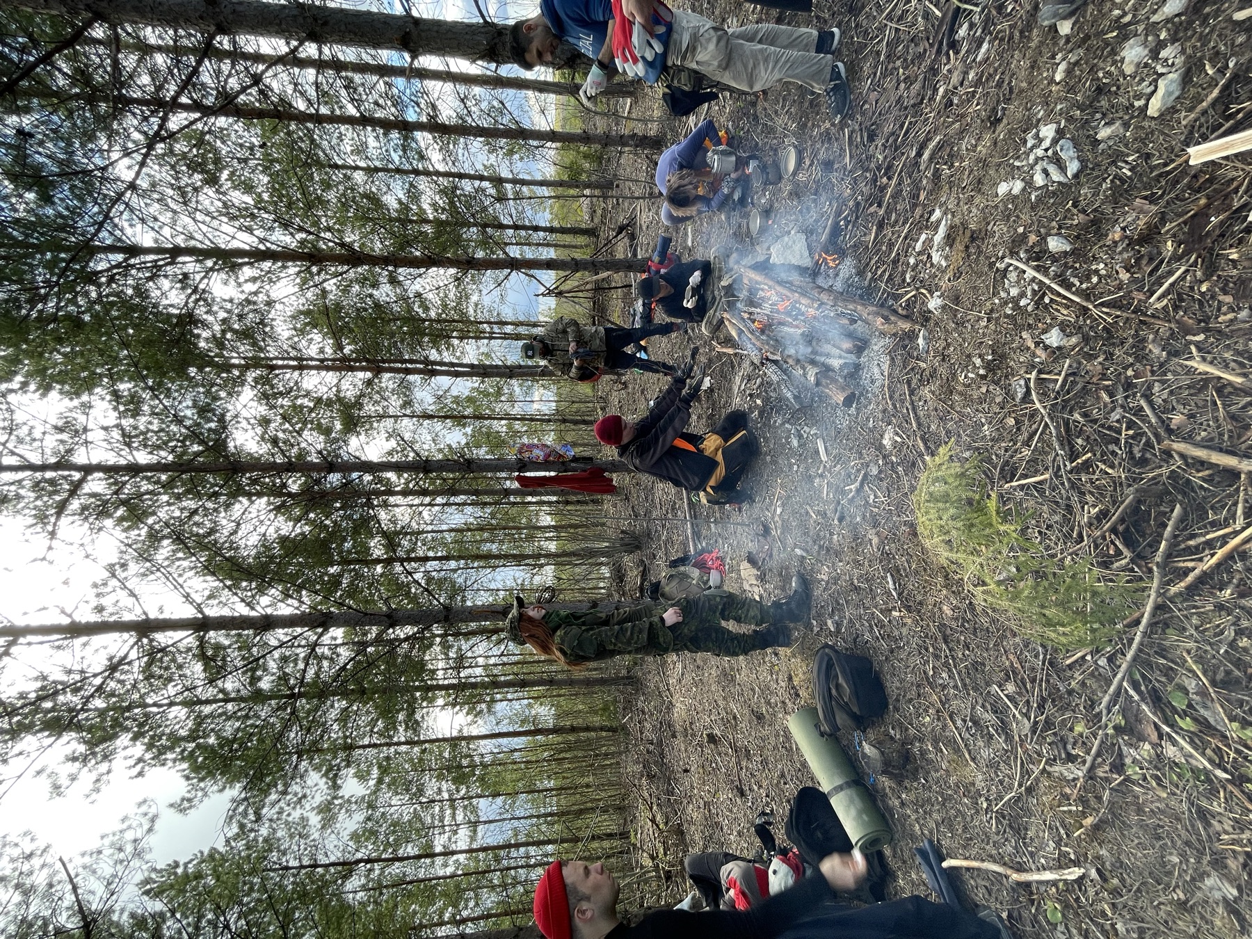 Костёр в сосновом лесу